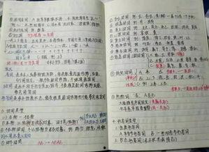 学霸皇妃修炼手册,从才女到权谋巅峰